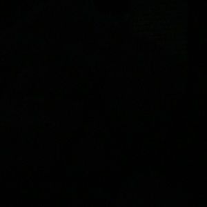 Meet your Posher, Kadie